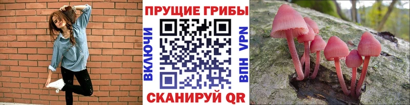 Галлюциногенные грибы ЛСД  Воткинск 